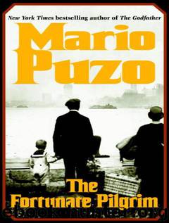 the family mario puzo ebook free download